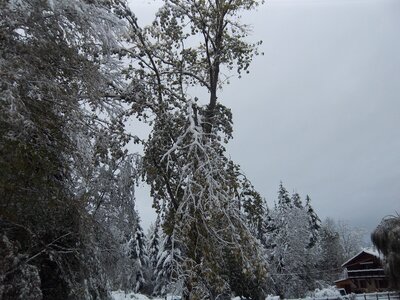 moromble sous la neige, IMGP0135