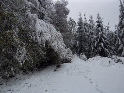 moromble sous la neige, IMGP0139