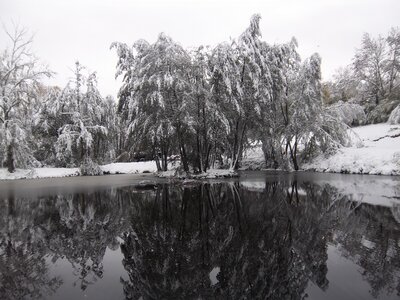 moromble sous la neige, IMGP0151