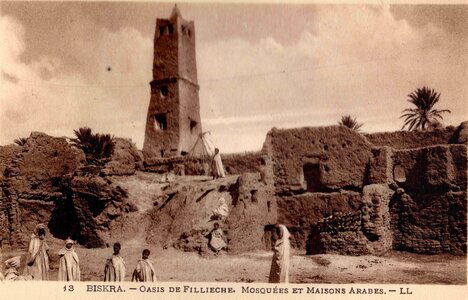 BISKRA : Cartes postales, Biskra.0012.Oasis de Fillieche. Mosquées et maisons arabes.LL