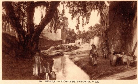 BISKRA : Cartes postales, Biskra.0019.L’oasis de Bab-Darb.LL