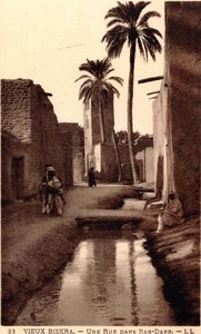 BISKRA : Cartes postales, Biskra.0023.Une rue dans Rab-Darb.LL