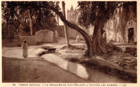 BISKRA : Cartes postales, Biskra.0078.La mosquée de Sidi-Maleck à travers les arbres.LL