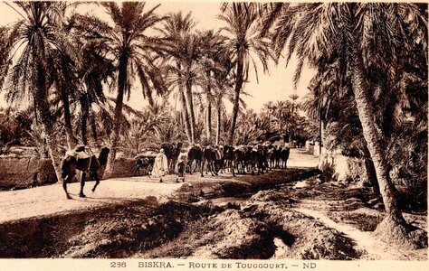 BISKRA : Cartes postales, Biskra.0286.Route de Touggourt.ND
