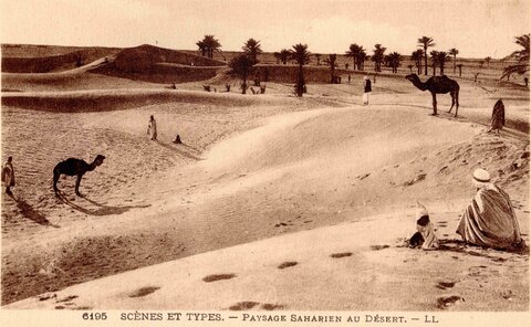 BISKRA : Cartes postales, Biskra.6195.Scènes et Types.Paysage saharien au désert.LL