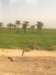2017 IRAN, 006 Tchoga Zanbil
