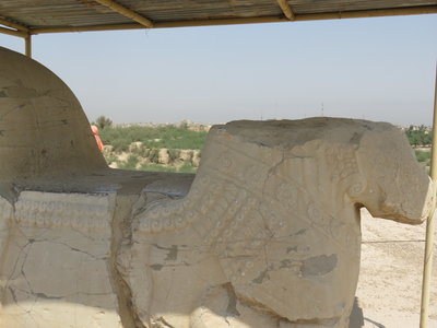 2017 IRAN, 044 Suse