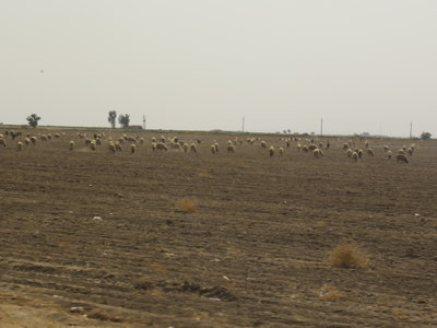 2017 IRAN, 054