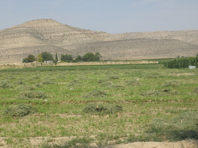 2017 IRAN, IMG_0534