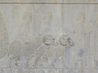 2017 IRAN, IMG_0423