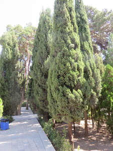 2017 IRAN, IMG_0858