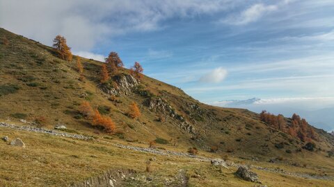 Le Piolit le 14/11/2018, 20181114_141639-01
