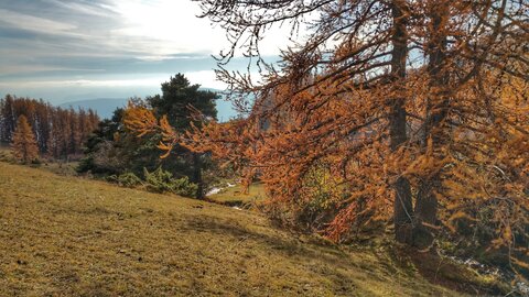 Le Piolit le 14/11/2018, 20181114_142838-01