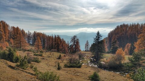 Le Piolit le 14/11/2018, 20181114_143006-01