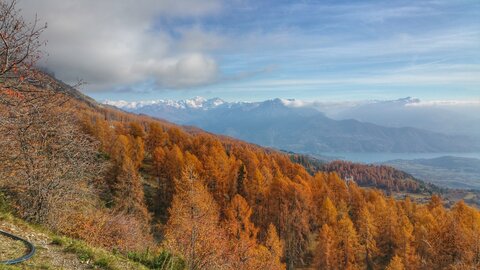 Le Piolit le 14/11/2018, 20181114_144133-01