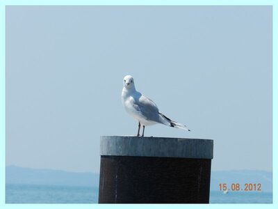 SALO - ITALIE AOÛT 2012, DSCN0757