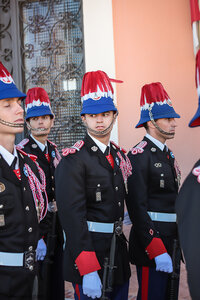 Carabiniers Fête Nationale 2018, Carabiniers F.N  182 