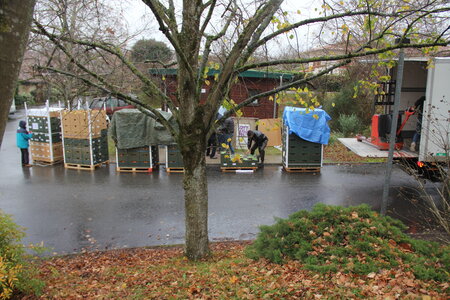2018-floreal livraison décembre, IMG_1740