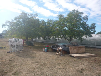 Fête de la Ferme 2018 2, P1070543