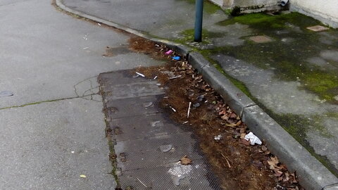 Développement durable de la saleté à Toulouse, 14 Décembre