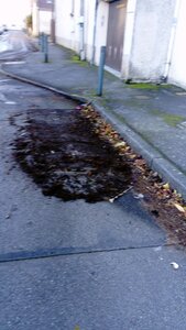 Développement durable de la saleté à Toulouse, 18 Décembre