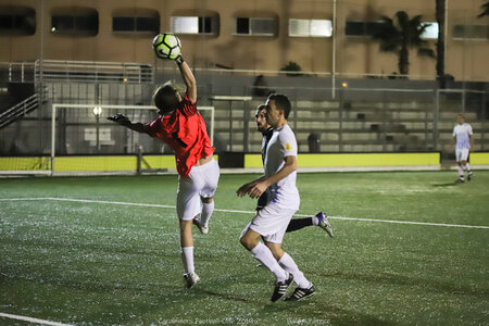 Match Carabiniers/SBM (6à0) du 28 janvier 2019, Match 28jan19  71 sur 105 