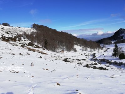 Pic de Cornudère et cabane Roque Pi, IMG_20190119_134023