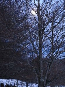 Pic de Cornudère et cabane Roque Pi, IMG_20190119_181117