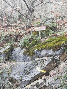 Pic de Cornudère et cabane Roque Pi, IMG_20190120_135045
