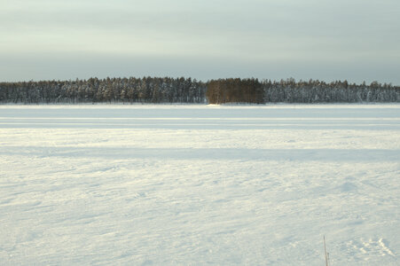 Finlande - Parc d'Hossa - janvier 2019, IMG_0081.CR2