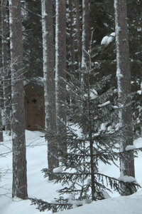 Finlande - Parc d'Hossa - janvier 2019, IMG_0121.CR2