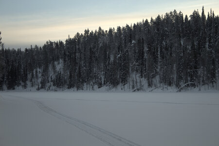 Finlande - Parc d'Hossa - janvier 2019, IMG_0138.CR2