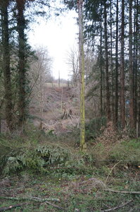 Le champs des uns possibles, DSC00287