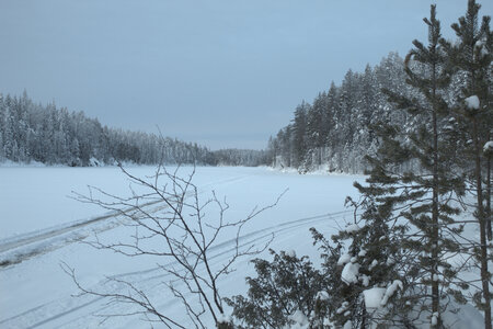 Finlande - Parc d'Hossa - janvier 2019, IMG_0148.CR2