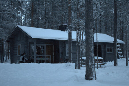 Finlande - Parc d'Hossa - janvier 2019, IMG_0161.CR2