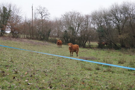 Le champs des uns possibles, DSC00281