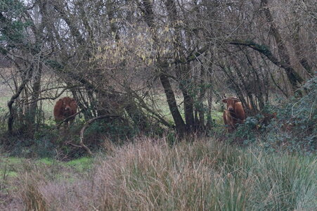 Le champs des uns possibles, DSC00278