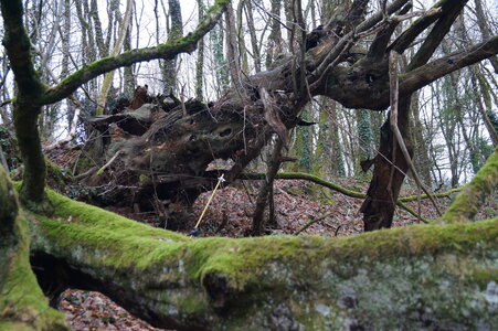 Le champs des uns possibles, DSC00272