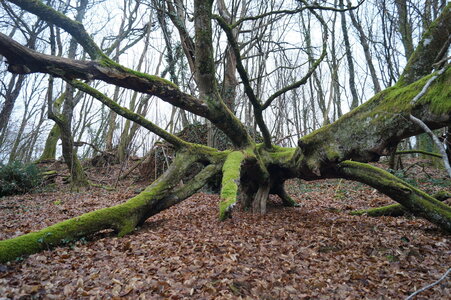 Le champs des uns possibles, DSC00271