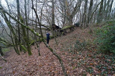 Le champs des uns possibles, DSC00269