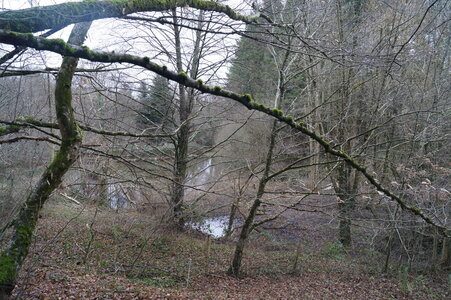 Le champs des uns possibles, DSC00268