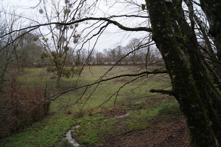 Le champs des uns possibles, DSC00267
