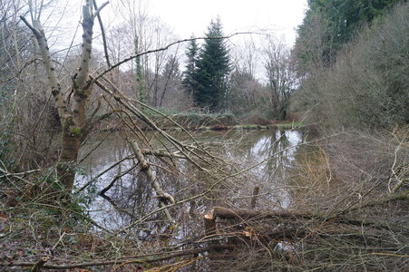 Le champs des uns possibles, DSC00264