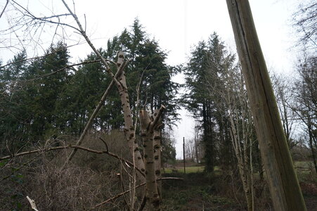 Le champs des uns possibles, DSC00260