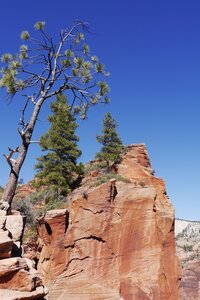 USA oct nov 2018, _1210900 retouche Canyon de Zion  PN Zion