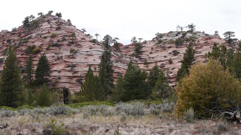 USA oct nov 2018, _1210938 Connector Trail  PN Zion