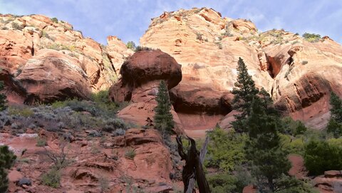 USA oct nov 2018, _1210962 raw Hop Valley Trail  PN Zion
