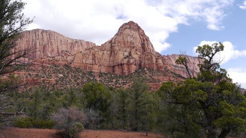 USA oct nov 2018, _1210983 Au niveau du camp 4  La Verkin Trail  PN Zion