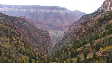 USA oct nov 2018, _1220132 raw  Depuis Coconino  North Rim  PN Grand Canyon