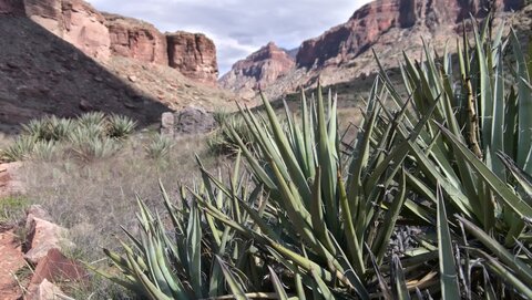 USA oct nov 2018, _1220144 raw North Rim  PN Grand Canyon